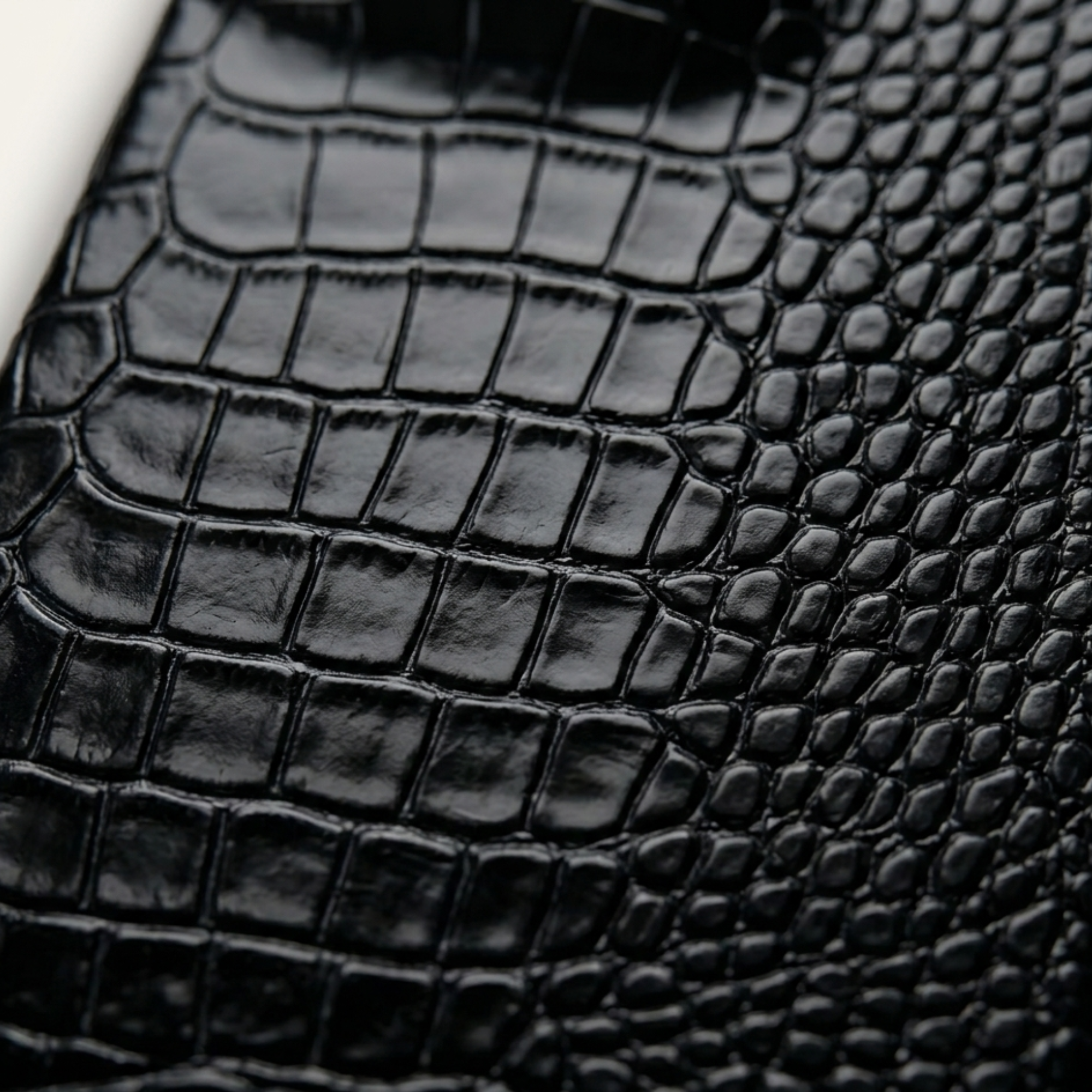 ASCEND — Croco Case